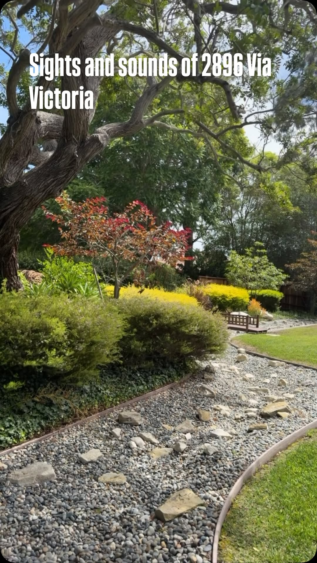 Via Victoria garden